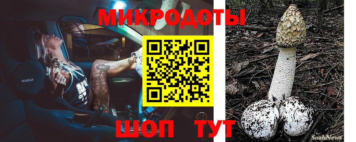 Галлюциногенные грибы прущие грибы Железногорск